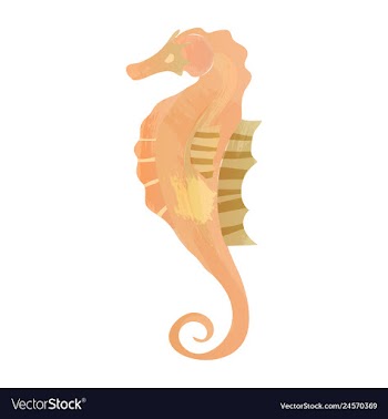 Set of watercolor seaweed corals and stones vector image