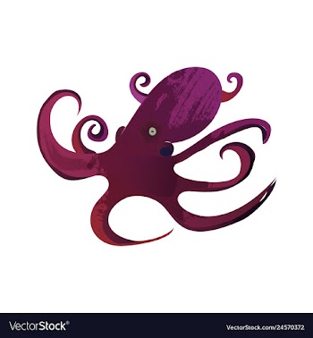 Set of watercolor seaweed corals and stones vector image