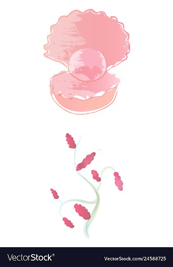Set of watercolor seaweed corals and stones vector image