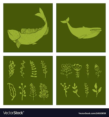 Set of wedding icons theme drawing fishes animals vector image