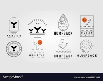 set of whale tail and collection of humpback