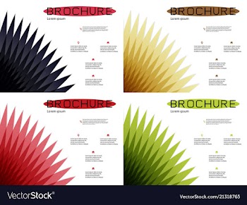 Set of white brochure cover design fancy info vector image
