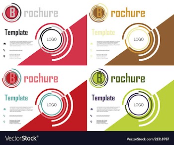 Set of white brochure cover design fancy info vector image