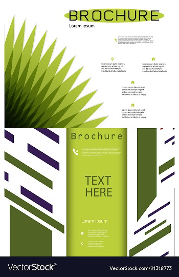 Set of white brochure cover design fancy info vector image