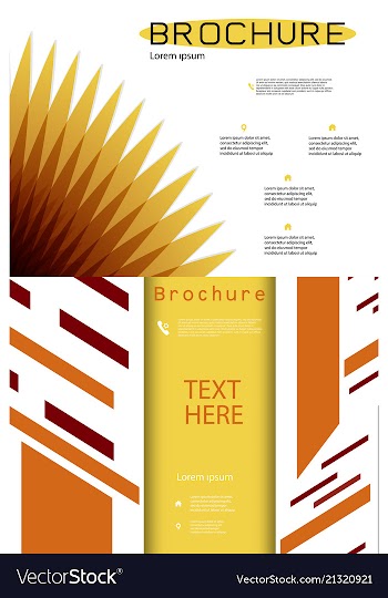 Set of white brochure cover design fancy info vector image