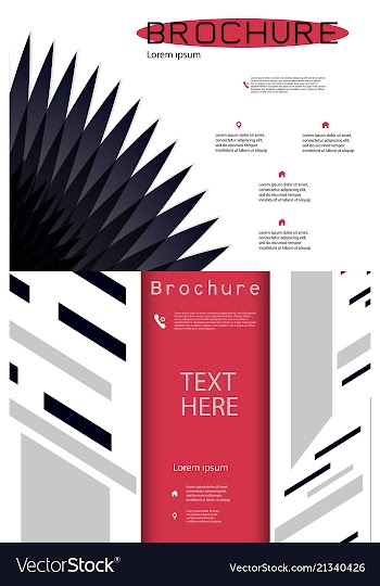 Set of white brochure cover design fancy info vector image