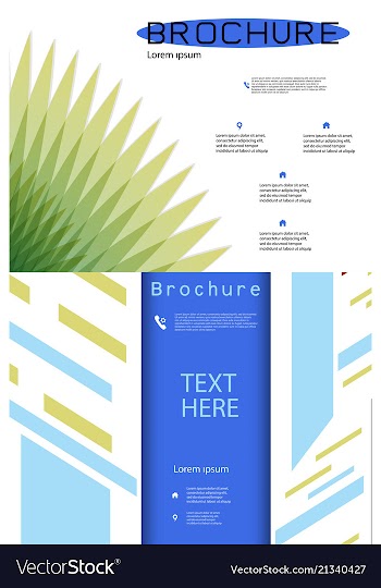 Set of white brochure cover design fancy info vector image