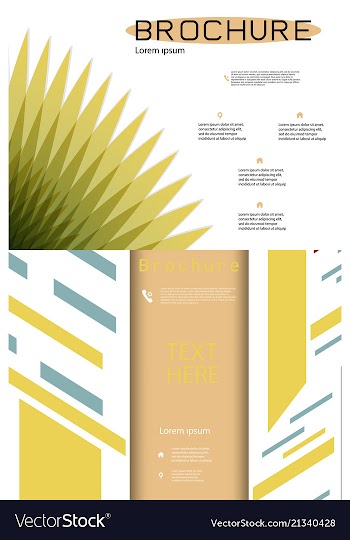 Set of white brochure cover design fancy info vector image