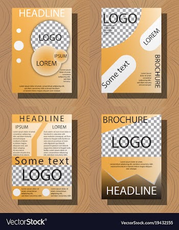 Set of white business brochure and leaflet flyer vector image