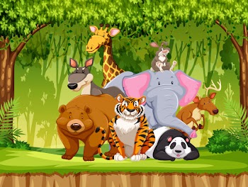 Set of wildlife animals Free Vector