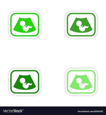 Set paper stickers on white background baby vector image
