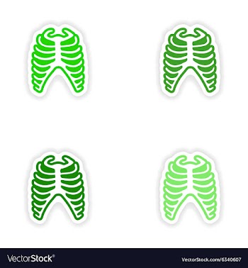 Set paper stickers on white background bone ribs vector image