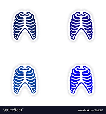 Set paper stickers on white background bone ribs vector image