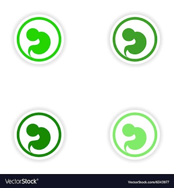 Set paper stickers on white background embryo in vector image