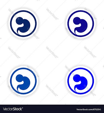 Set paper stickers on white background embryo in vector image