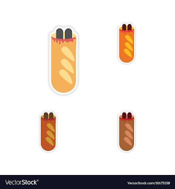 Set paper stickers on white background hot dog vector image