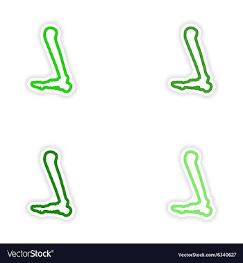 Set paper stickers on white background leg bone vector image