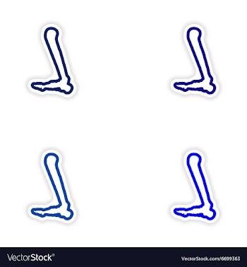 Set paper stickers on white background leg bone vector image