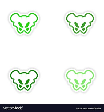 Set paper stickers on white background pelvic vector image