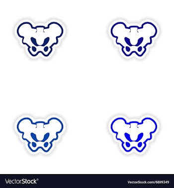 Set paper stickers on white background pelvic vector image