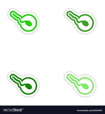 Set paper stickers on white background sperm and vector image