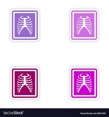 Set paper stickers on white background X-rays of vector image
