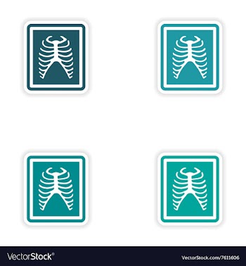 Set paper stickers on white background X-rays of vector image