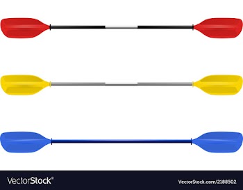 Set Professional canoe oars vector image