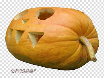 SET Pumpkin special for Halloween, orange pumpkin transparent background PNG clipart