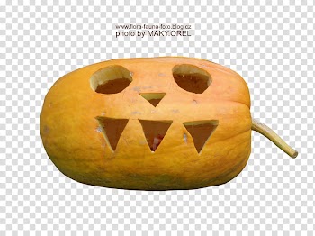 SET Pumpkin special for Halloween, orange pumpkin with text overlay transparent background PNG clipart