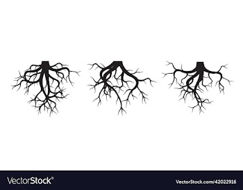 set roots outline plants