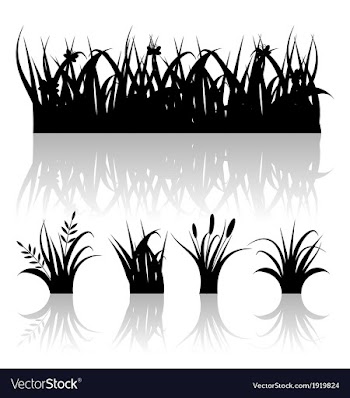  					Set silhouette of grass with reflection isolated vector image														