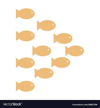 Set silhouettes of groups of sea fishes colony of vector image