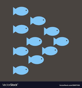 Set silhouettes of groups of sea fishes colony of vector image