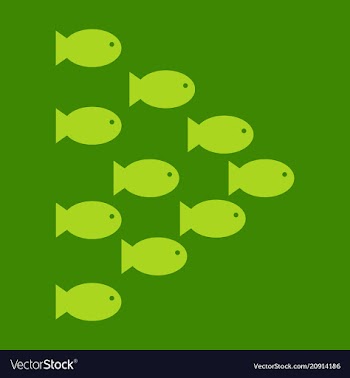 Set silhouettes of groups of sea fishes colony of vector image