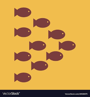 Set silhouettes of groups of sea fishes colony of vector image