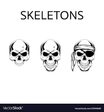 Set skeletons vector image