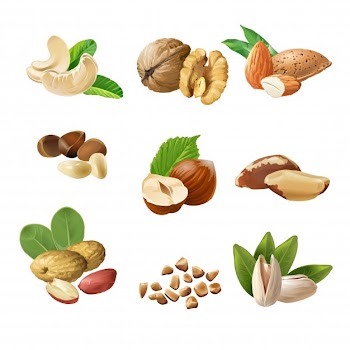 Set vector icons of nuts Free Vector