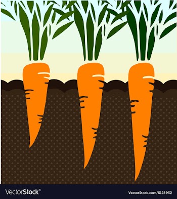Set vector image