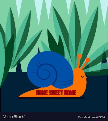 Set vector image
