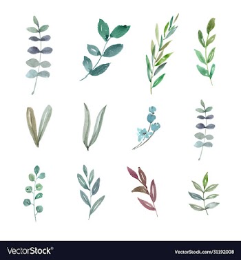 set watercolor foliage hand-drawn elements