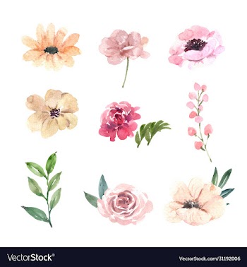 set watercolor pink peony hand-drawn floral