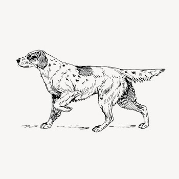 Setter dog clipart, pet vector. | Free Vector Illustration - rawpixel