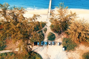 Seven Vehicle Park Under Green Leaf Tree Near Ocean Shore Aerial Photography