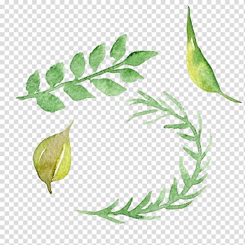 Several assorted green leaves, Watercolour Flowers Watercolor painting, Hand-painted watercolor leaves leaves transparent background PNG clipart