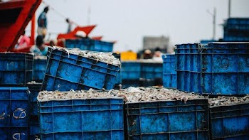 several blue plastic crates stack together