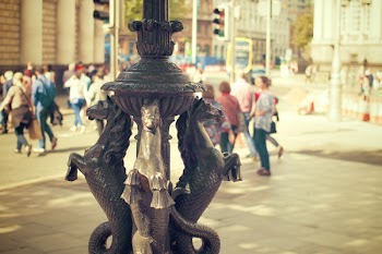 Several People Walking on Streets