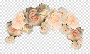 Several white flowers, Cut flowers Garden roses Wreath, flower crown transparent background PNG clipart