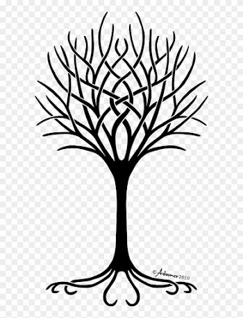 Shabbat Potluck Tu Bishvat Seder - Tree Of Life