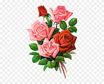 Shabby Chic Flowersvintage - Garden Roses
